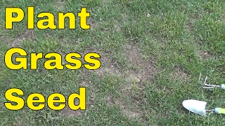 How To Plant Grass SeedFULL Tutorial [upl. by Jeana917]