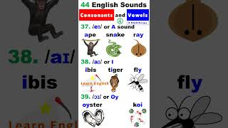 44 English Sounds 4  8 Diphthongs [upl. by Hpeseoj847]