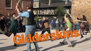 Gidderskins compilation of dances at Raggedstone Border Morris 1st Birthday Bash in Ledbury 2024 [upl. by Vlada]