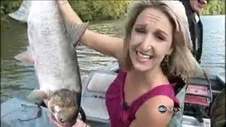 TV News Blooper Carp Takes Down Reporter [upl. by Godric804]