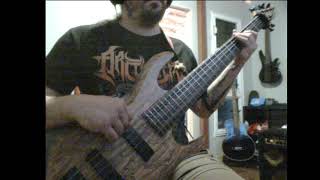 I Built the Sky  Up Into the Ether  bass cover in Standard Tuning [upl. by Tebor]