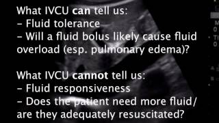 Assessment of Fluid Resuscitation by IVC Ultrasound [upl. by Liddy]