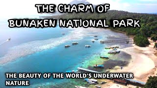 THE CHARM OF BUNAKEN NATIONAL PARK THE BEAUTY OF THE WORLDS UNDERWATER NATURE [upl. by Darmit]