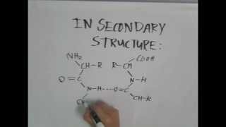 Hydrogen Bonds Song [upl. by Ahseekal]