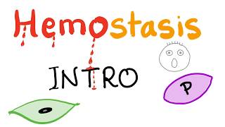 Hemostasis  How your blood clots  Overview [upl. by Aknaib279]