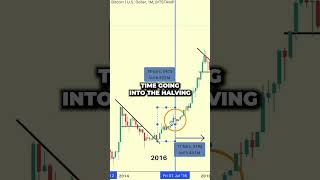 The One Bitcoin Chart That You Need For Success In 2024 shorts btc bitcoin cryptocurrencies [upl. by Kacerek]