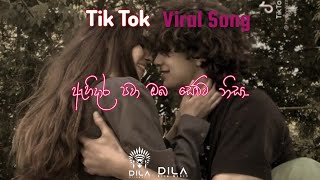 ඇහිදාර පවා ඔබ හෙව්ව නිසා  Ahidara Pawa Oba Hewwa Nisa  Tik Tok Viral Song ahidarapawaobahewwanisa [upl. by Lap812]