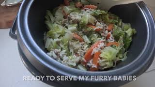 Homemade Dog Food Beef Carrot and Lettuce Delight [upl. by Fantasia]