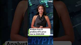 Plan B Predicts Bitcoin at 500000 [upl. by Annamarie]