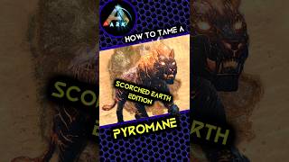 How to tame a Pyromane on Scorched Earth [upl. by Arlan251]