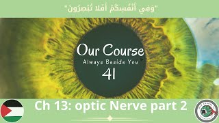 Ch 13 Optic Nerve Part 2 Ophthalmology 41 [upl. by Heiner]