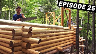 Building A Log Cabin  Ep 25  The quickest notching technique  The walls are HALFWAY up [upl. by Acino]