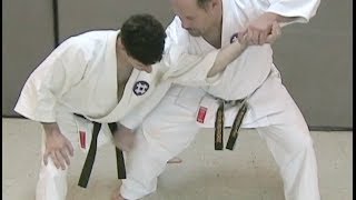 One Minute Bunkai Seisan Bunkai Series Part 6a [upl. by Esinad]