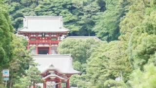 Japan By Dmitry Osika Tsurugaoka Hachimangu Shrine Kamakura [upl. by Walther730]