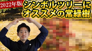 【最新版おすすめランキング4選】考えに考え抜いた2022年おすすめの常緑シンボルツリーはこれだ！ [upl. by Enyalb]