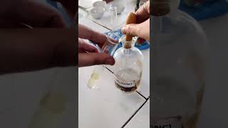 Brown Ring Test  Confirmatory Test of Nitrate Class 12 Chemistry prac httpsyoutubePMUG7DrFjKw [upl. by Oloap]