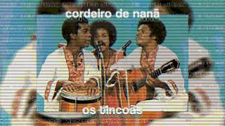 ｃｏｒｄｅｉｒｏ ｄｅ ｎａｎã － ｏｓ ｔｉｎｃｏãｓ  lofi remix [upl. by Yorick]