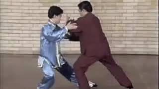 Yang Family Tai Chi Chuan Push Hands Drills [upl. by Bradleigh]