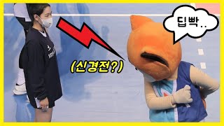 미녀 배구 선수와 마스코트의 불꽃 신경전 ㅋㅋㅋ 배구왕 [upl. by Lachance]