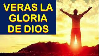 Veras la gloria de Dios [upl. by Ellebasi]