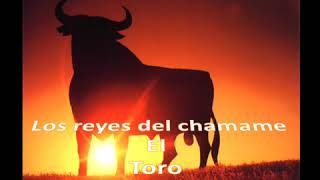 Chamame el toro [upl. by Anwahsak]