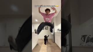 I rock like PEBBLE 🎸🤘 viral TikTok dance trend dance funny shorts viral [upl. by Nymzaj]