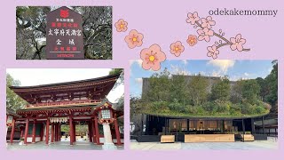 【太宰府天満宮】【仮殿にビックリ‼️】20231120 Dazaifu Tenmangu Shrine Surprise at temporary hall ️】20231120 [upl. by Lyndy]