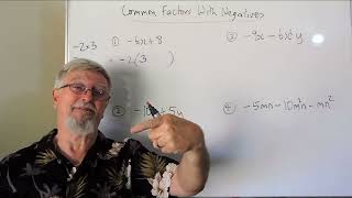 Factorising 05 Common Factors With Negatives [upl. by Eerac]