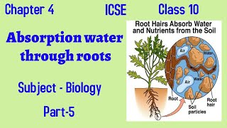 ICSEClass 10BiologyChapter 4Absorption of Water through RootsPart 5 [upl. by Saisoj]