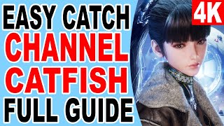 How to Catch Channel Catfish Location  Stellar Blade [upl. by Ericksen811]