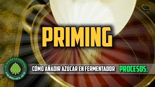 Cómo Hacer Cerveza Artesanal en Casa PRIMING Cómo añadir azúcar en el fermentador [upl. by Amaleta152]