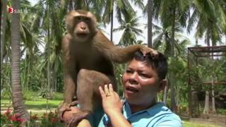 Reisen in ferne Welten Koh Samui Lebensart in Thailands Tropenparadies Clip [upl. by Annoya]