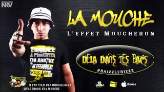 La Mouche  Au dernières News  LeffetMoucheron dispo FnacItunes [upl. by Eniluqaj544]