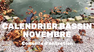 CALENDRIER BASSIN  NOVEMBRE  CONSEILS D’ENTRETIEN calendrier bassin entretien fish [upl. by Enelram]