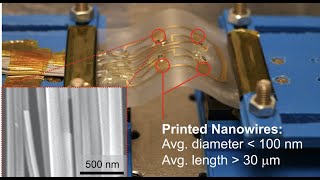 ZnO Nanowires Based Flexible UV Photodetectors for Wearable Dosimetry  IEEE Sensors 2017 [upl. by Niala]