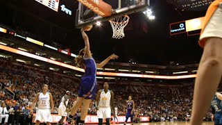 Every WNBA Dunk In History [upl. by Ulrick]