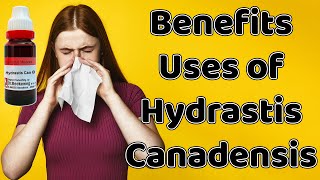 Hydrastis Canadensis Q  Hydrastis Can Ke Fayde Aur Labh  Hydrastis Can Homeopathy Uses amp Benefits [upl. by Oap674]