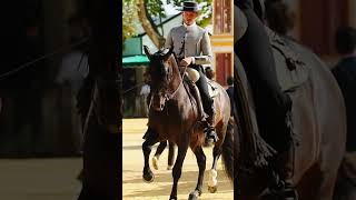 Féria de Caballo in Jerez de la Frontera 🇪🇸💃🐎🍷 [upl. by Pavlov]