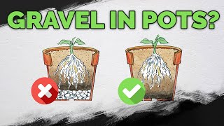 STOP Putting Gravel At The Bottom Of Your Pots [upl. by Richel956]