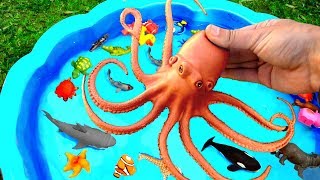 Learn With Wild Animals in Blue Water Tub Shark Toys For Kids [upl. by Diego]