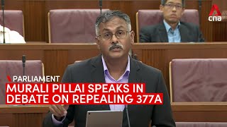 Murali Pillai speaks in debate on repealing Section 377A [upl. by Tompkins]