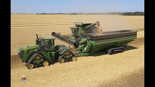 Wheat Harvest at Crossroad Farms in Indiana [upl. by Maryanna]