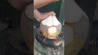 Skills cutting coconuts indoors shorts satisfying coconut cuttingskills fypシ゚ [upl. by Davine]