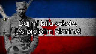 Sivi Sokole  Yugoslav Partisan Song [upl. by Rafe]