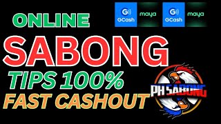 ONLINE SABONG TIPS 100 WINRATE [upl. by Demetri]