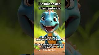 Die fünf besten Fossilienfunde KinderHitsTV [upl. by Havot]