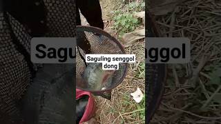 Saguling bleseng spot rahasia [upl. by Aniar]