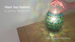 Flaunt Your Feathers Scentsy Warmer [upl. by Kcorb]