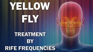 Yellow Fly  RIFE Frequencies Treatment  Energy amp Quantum Medicine with Bioresonance [upl. by Rene]