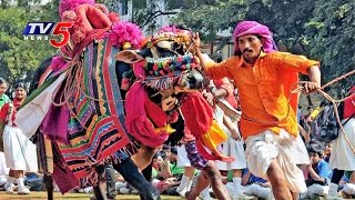 People Enjoying Traditional Village Games  Sankranti Celebrations in Andhra Pradesh  TV5 News [upl. by Derfiniw]